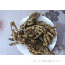 The Chicken feet coptis